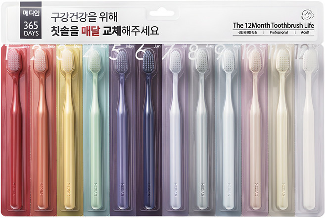 메디안 성인용 365DAYS 칫솔, 12개입, 1개