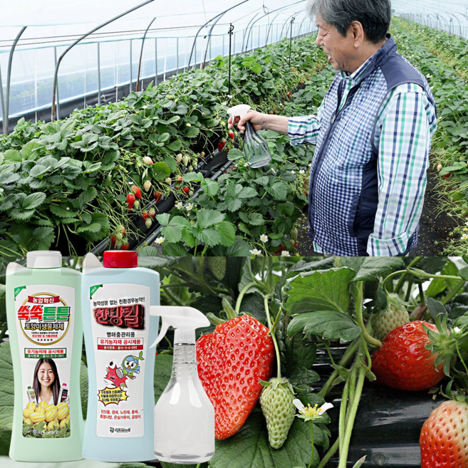 [인포벨]TV홈쇼핑정품 애드크로스 쑥쑥튼튼 식물영양제 튼튼 영양제 분갈이 화분관리 작물활력 효소제 미생물, 3개, 470ml