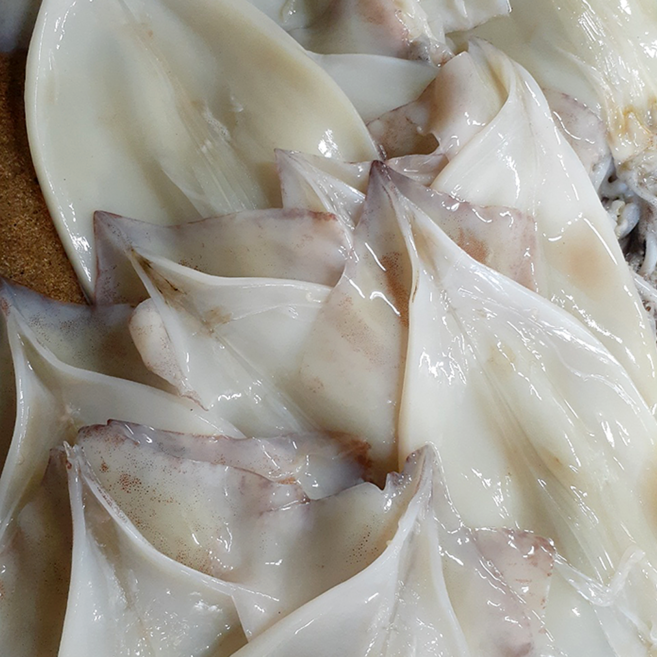 내고향 농수산 원양산 냉동 손질 오징어 800g 2미, 1세트, 2마리(800g)