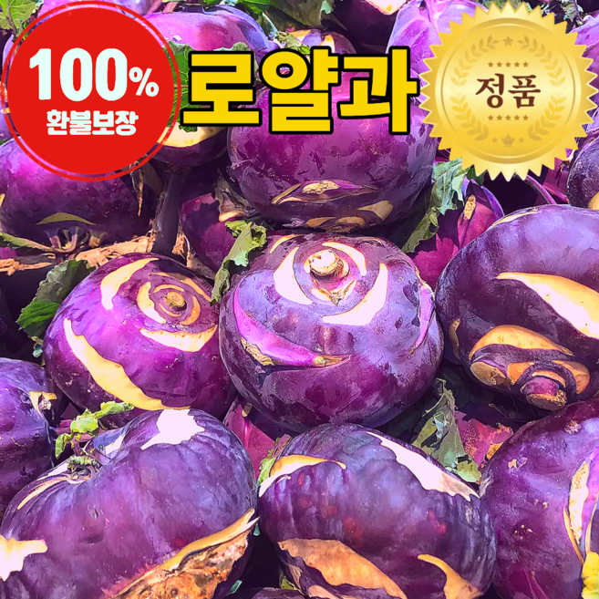 농장직송 제주 콜라비 특품 로얄과, 5kg, 1박스