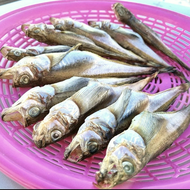 속초 (산지직송) 반건조생선 골라담기 임연수 볼락 참돔 민어 열기 가자미 우럭 고등어 양미리 박대 서대 구이 말린, 옵션18. 반건조 알도루묵(10미), 1개