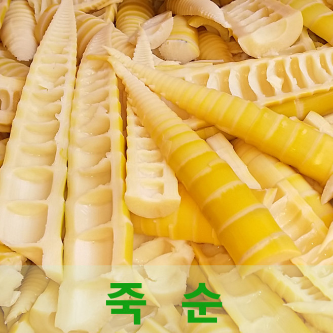 싱싱한 삶은죽순1kg 담양죽순