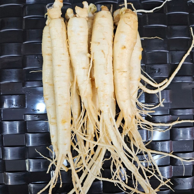 풍기인삼 5년근 6년근 삼계탕용 산지직송 백숙용 세척 인삼 가정용 업소용, 100g, 1개, 100g(3인분)