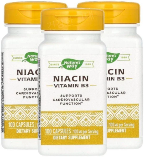 네이처스웨이 비타민B3 니아신 나이아신 100mg 100캡슐 3개 Niacin, 100정 - 쿠팡
