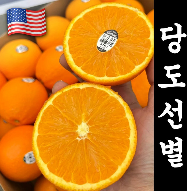 [시장최저가] 백화점급 고당도Brix 블랙라벨 오렌지, 1박스, 1.5kg (10과 중소)