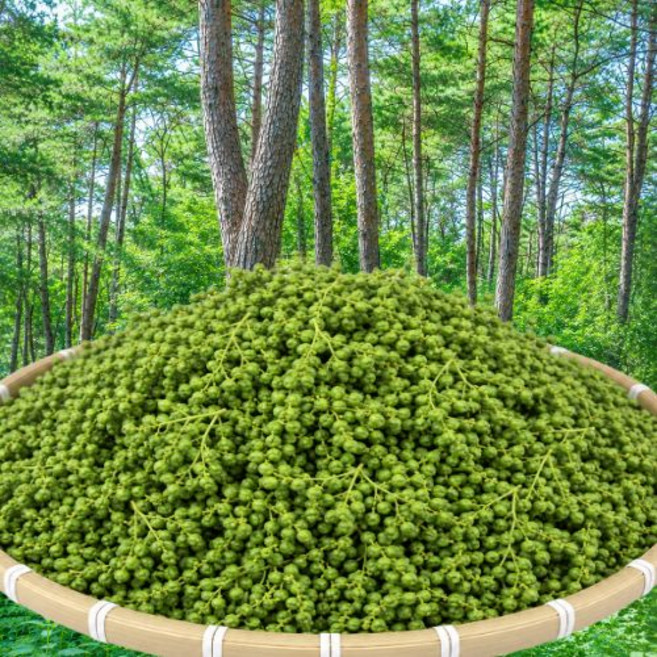 국내산 토종 햇생제피 초피 제피가루 담금주 장아찌 농장직송, 100g, 1개