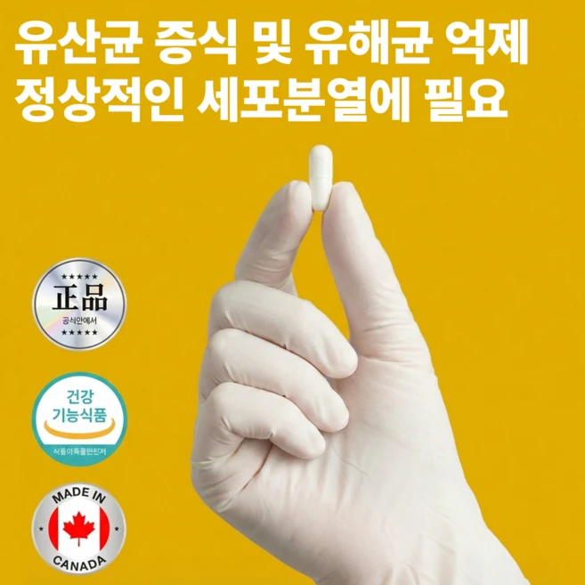 약국 유산균 배변활동개선 캡슐형하제 식물성 장용성 프로바이오틱스 500억 투입 유산균 4개월분, 2개, 60정 - 쿠팡