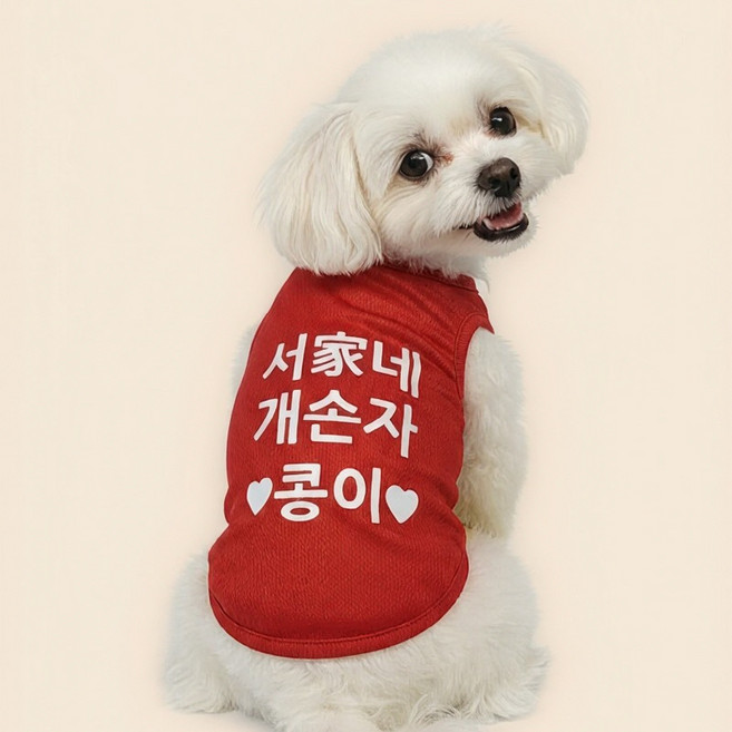 맞춤 티셔츠 이름 각인 제작 내맘대로 티셔츠 강아지 옷 XS S M L XL 2XL, 1개, 레드(일반)