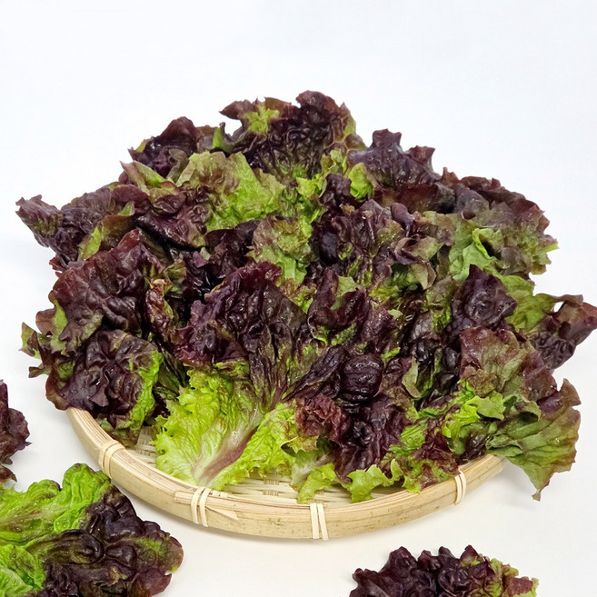 국내산 울팜 꽃상추 적상추, 1개, 2kg