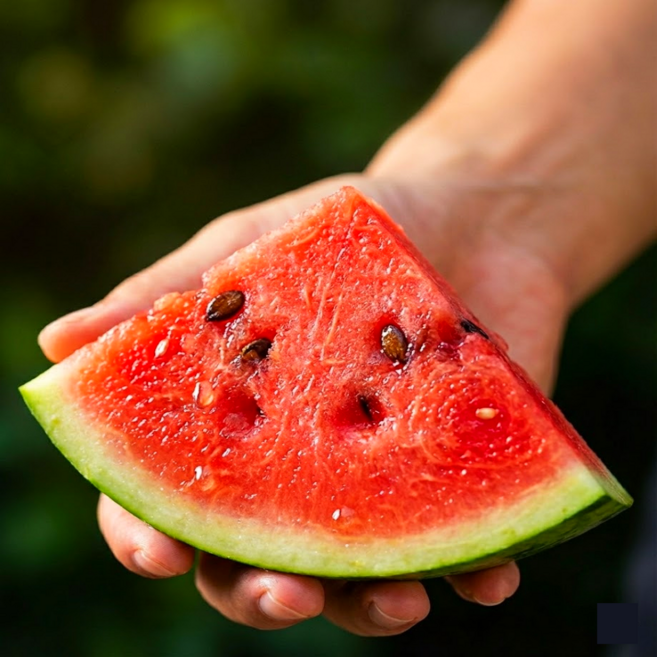 [품질보증] 고당도 하우스 수박, 1개, 고당도)_ 6KG 내외