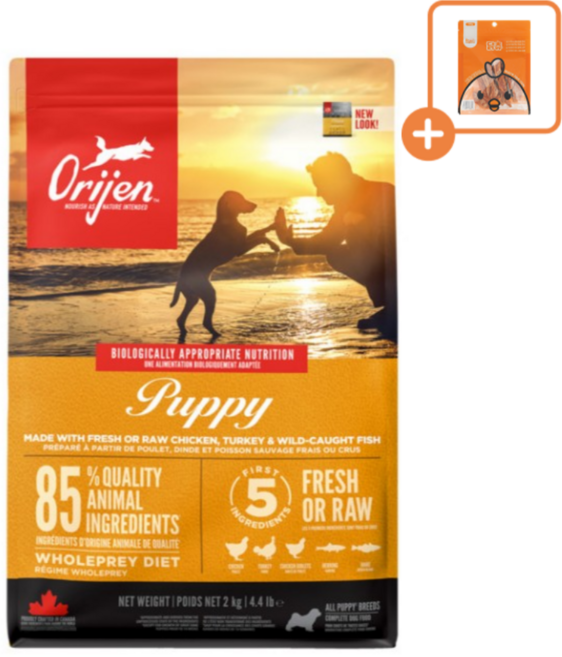 오리젠 퍼피 건식사료 2kg + 닥터얼라이브 닭츄 랜덤1p 증정, 1개, 닭