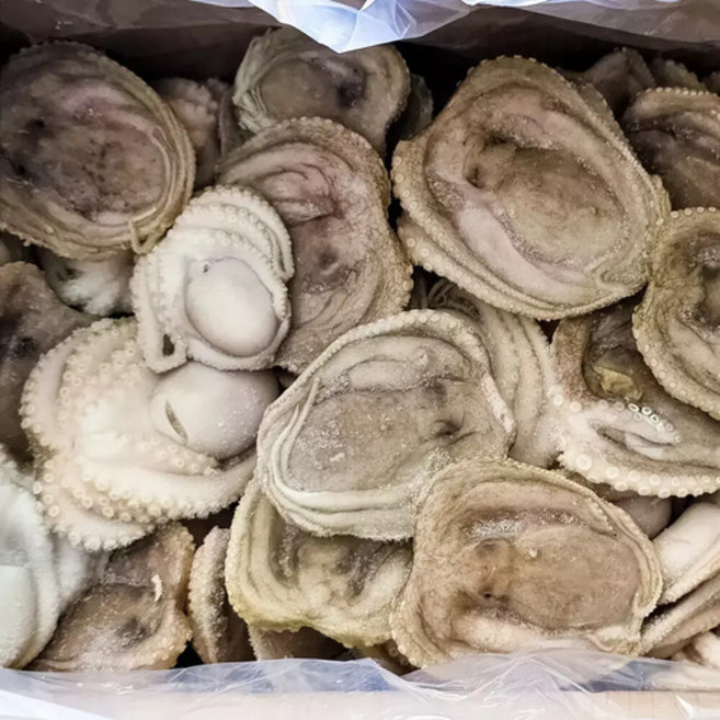 자연산 주꾸미 5kg 대용량 업소용 쭈꾸미 냉동