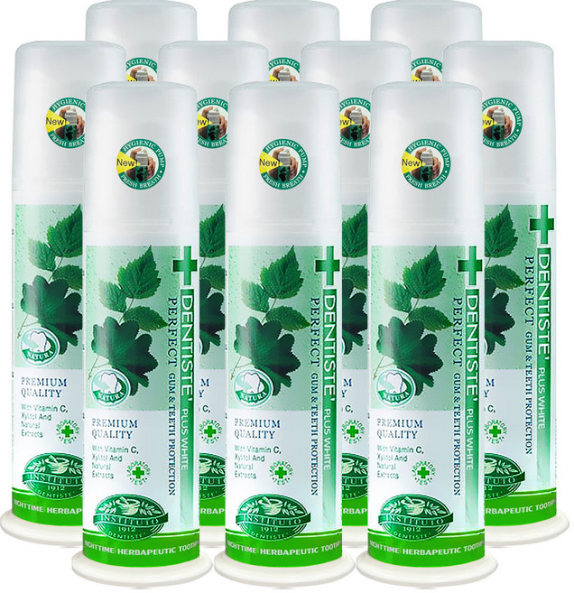 덴티스테 플러스화이트 펌프형 치약, 170g, 10개