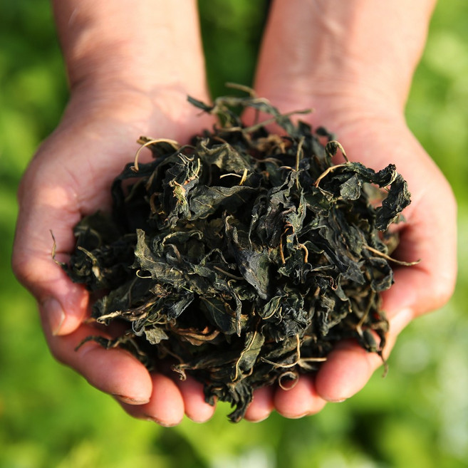 2025년 햇 건 고춧잎 100g 말린 고춧잎, 1개