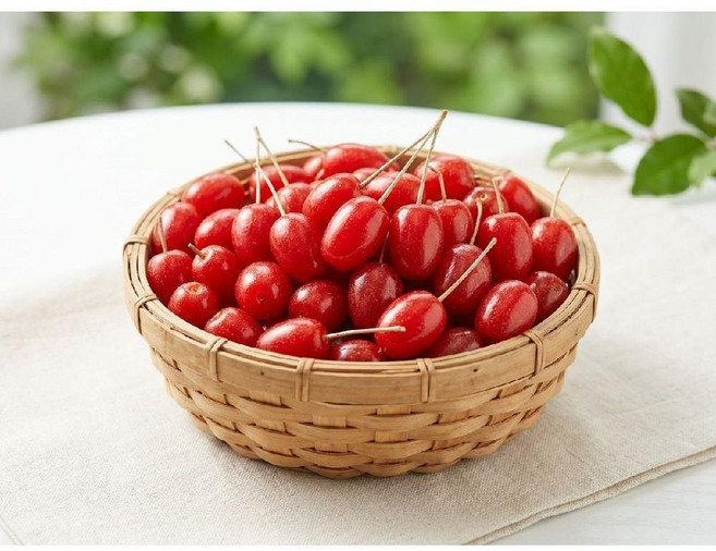KIFFJOIT 열매의 붉은 유혹 보리수열매 제니오숲, 맛보기 500g