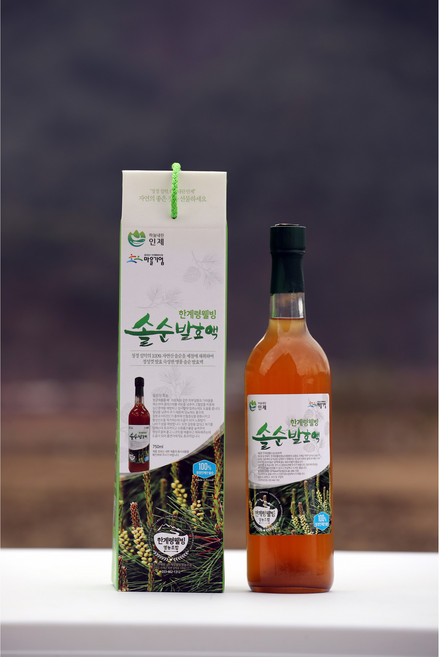 한계령웰빙 솔순발효액 500ml 솔잎청 솔잎액기스, 1개