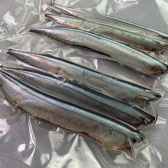 꽁치 구이 냉동 업소용 냉동꽁치 구이용 생선 갈치 미끼 조림용 선동 손질, 1개, 꽁치1kg(10~11마리)