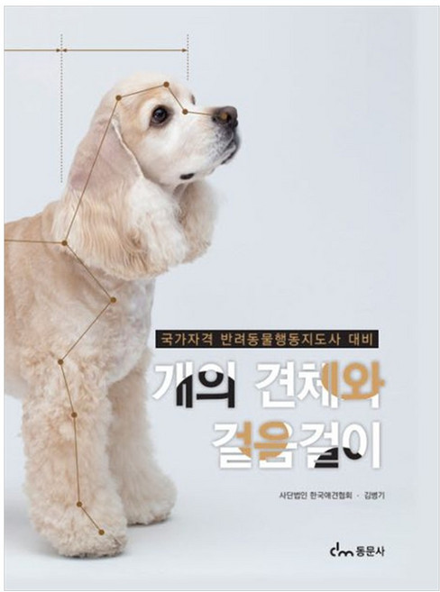 새책-스테이책터 [개의 견체와 걸음걸이] -국가자격 반려동물행동지도사 대비--동문사-사단법인 한국애견협회.김병기 지음-반려, 개의견체와걸음걸이, NSB9791163284307