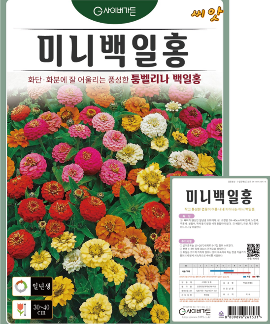 미니백일홍 씨앗(50립) 툼벨리나 백일홍 여름꽃 흰색 노란색 주홍색 분홍색 적색 영웅씨앗, 1개