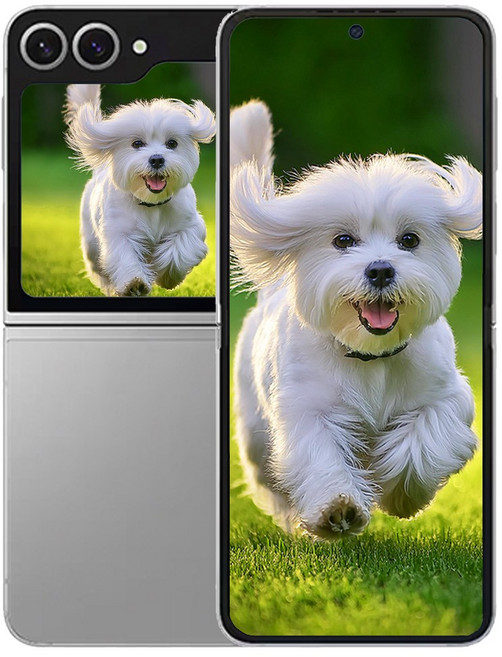 삼성전자 갤럭시 Z플립6 256GB, 실버 쉐도우