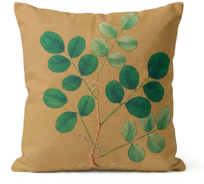 스타일K 한스 쇼파쿠션(솜+무료배송+by10AM 당일출고), 08 리프02