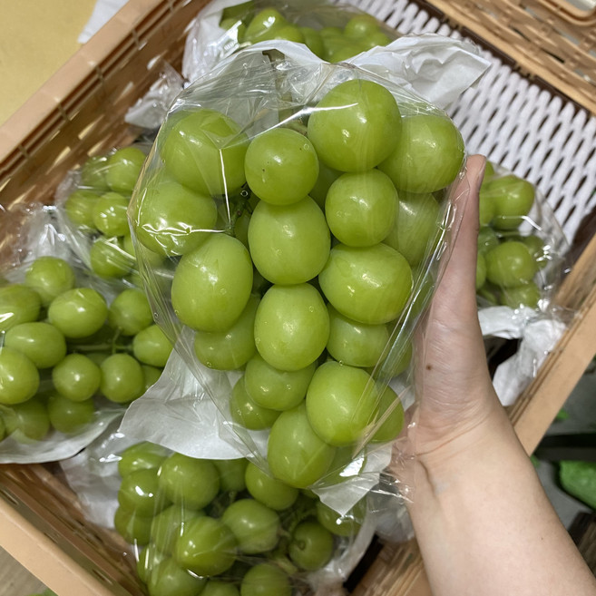 품질보증 샤인머스켓 3~4송이 샤인머스캣 망고포도, 1개, 2kg(3~4송이)
