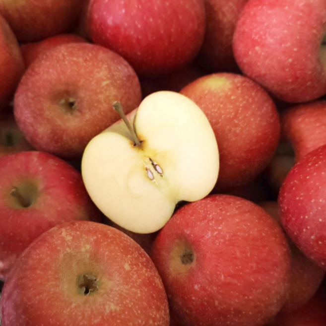 청송햇살 고당도 과즙팡팡 부사 사과 선물용, 1개, 정품 중과 5kg