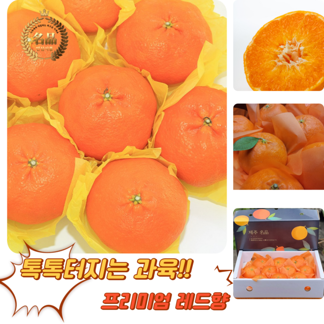 [굿피플] 레드향 레드향선물세트 한라봉 황금향 과일선물세트 [레드향 3kg 중대과 선물세트], 1박스