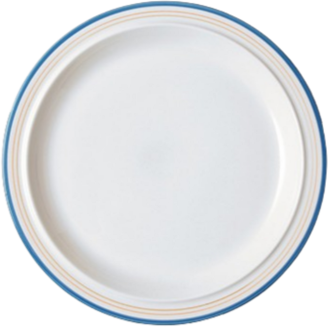 시라쿠스 메이플 디너 접시, 1개, 코지 블루