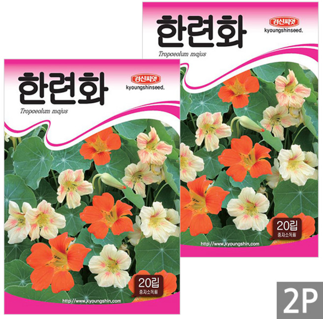 세인화분 한련화 20립 - 씨 씨앗 꽃씨, 2개
