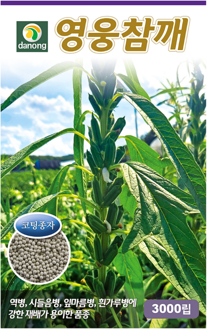 주주씨앗 영웅참깨 씨앗 3000립 펠렛코팅 종자 다수 외대깨, 1개