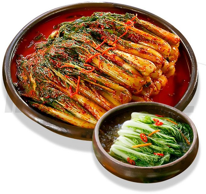 [TV홈쇼핑정품 인포벨] 이인화 명인 얼갈이 김치 전통 수제 남해 전라도 김장 반찬 숙성 저염 추천 명절, 1박스, 5kg