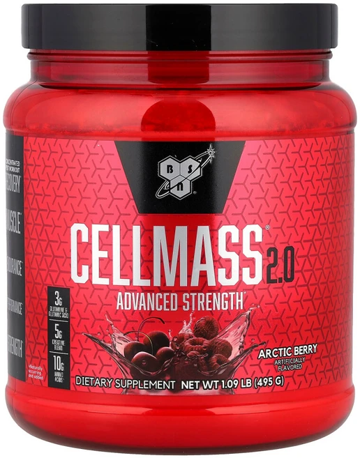 BSN 셀매스 2.0 향상된 효능 운동 후 아틱베리 495g(1.09lb), 495g, 1개 - 쿠팡