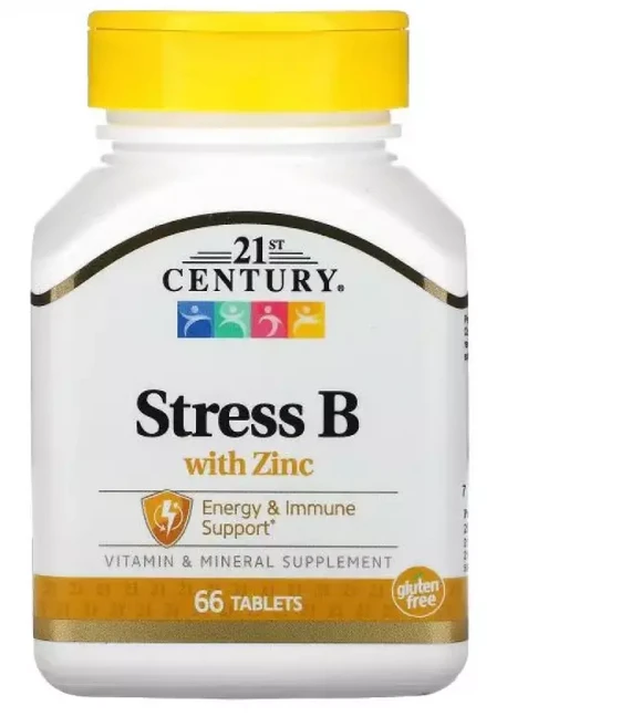 21세기 센트리 센츄리 센추리 Stress B 아연 징크 Zinc 66정, 1개 - 쿠팡