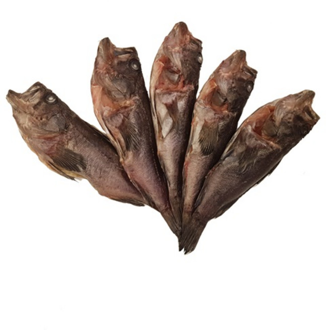 속초생선아줌마네 국내산 자연산 반건조 손질 통우럭 (미당 150g~200g), 5개, 150g