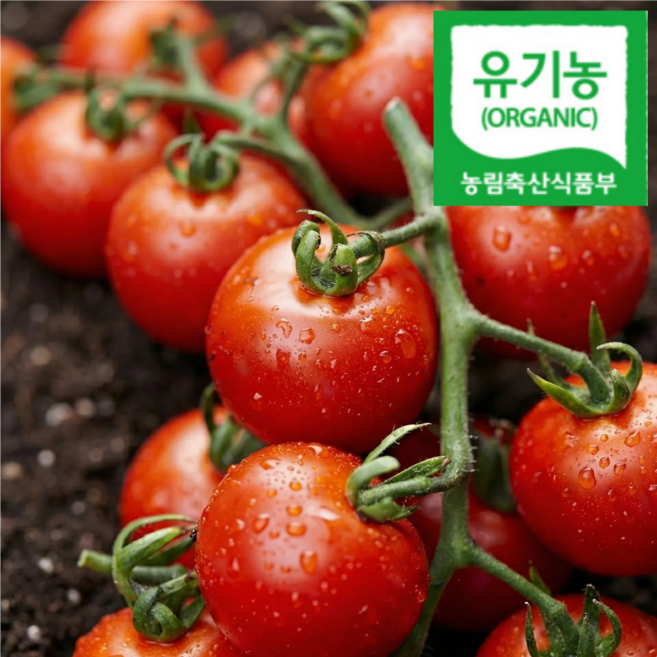 [산지선별] 국내산 유기농 친환경 방울토마토, 1박스, 1kg