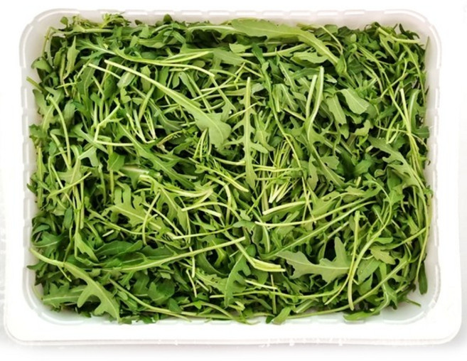 와일드 루꼴라 1kg, 1개