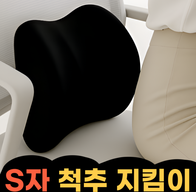 우디밸리 프리미엄 기능성 메모리폼 허리 쿠션, 카본 블랙