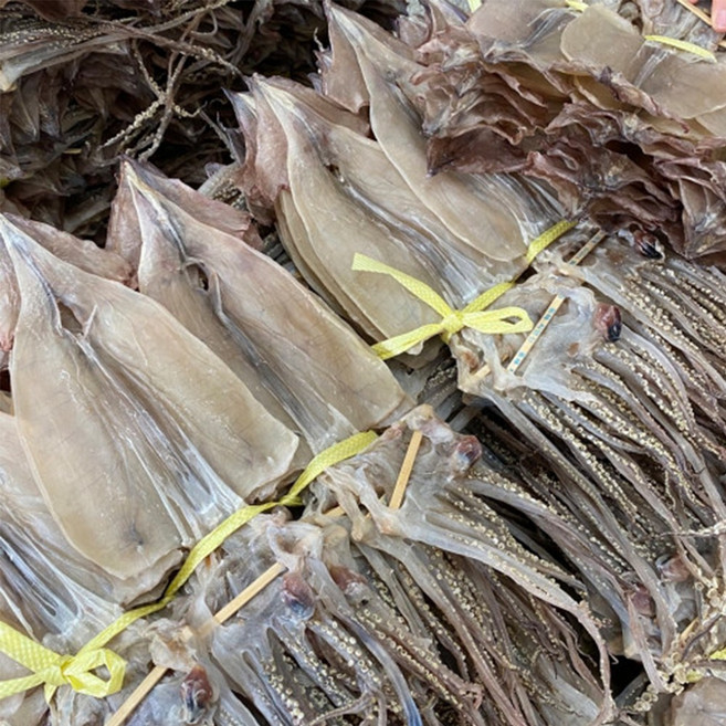 동해안 국내산 건조 오징어 건오징어 마른 오징어, 1개, 대사이즈 5미 350g