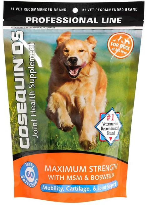 [Nutramax] 코세퀸 DS 맥시멈 스트렝스 위드 MSM & 보스웰리아 60 소프트 츄, 1개 - 쿠팡