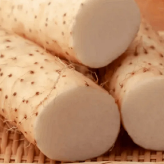 40년장인농부의 한정판매 안동 프리미엄 참마, 1박스, 1kg(알뜰)