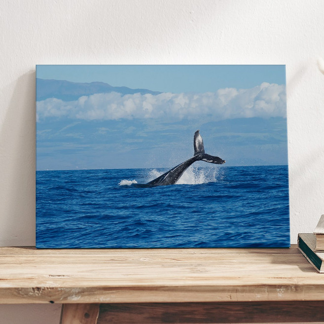 감성사진 풍경 해바라기 여름 레트로 감성 인테리어 그림 사진 포토 캔버스 액자 22종 03 16-22, 17.춤추는고래(가로형)