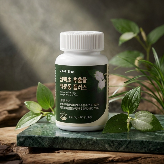 바이탈나인 삼백초 맥문동 추출물 히비스커스 녹차 퀘르세틴 강황 비타민, 3개, 60정