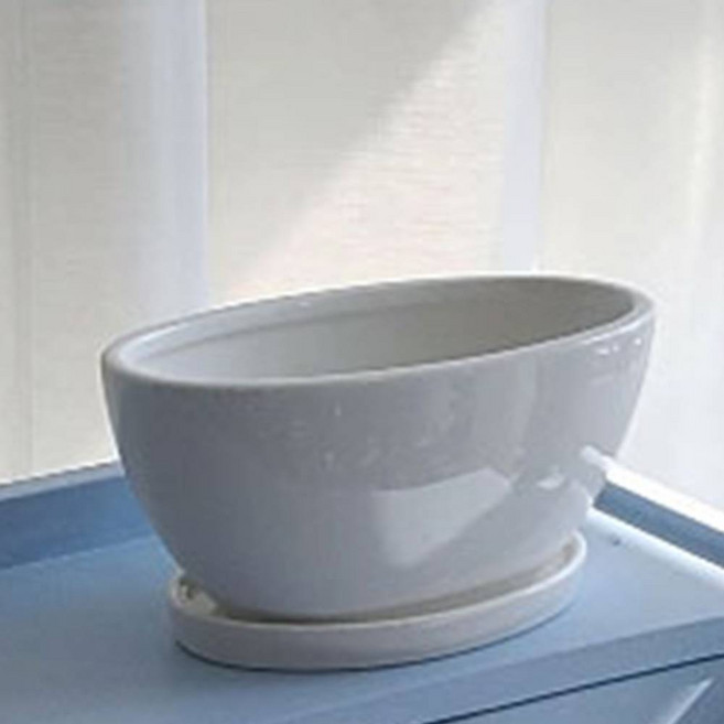 모던 백색유광화분 도기 타원형 화분 22X10X10CM, 1개