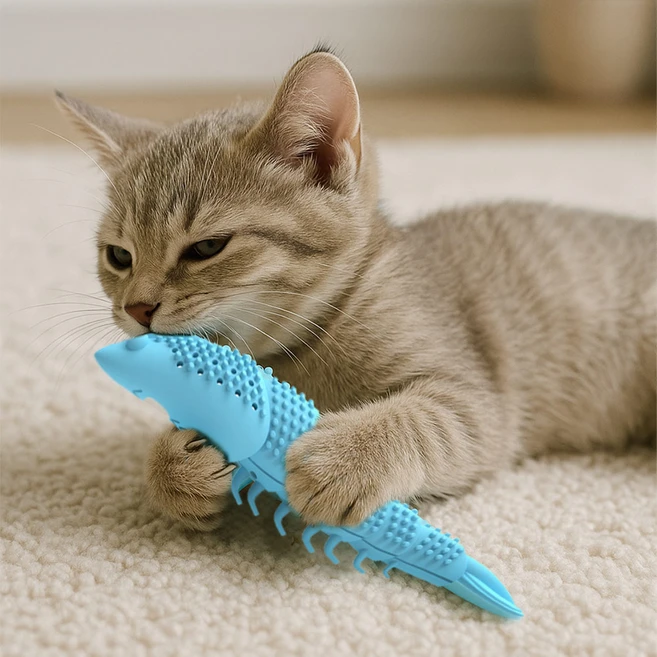 크레용펫 고양이 캣닢 이갈이 장난감 치발기 치석제거 칫솔, 색상랜덤, 1개 - 쿠팡