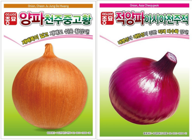천주중고황 적양파아시아천주적 2.5g [26년포장] 양파씨앗 아시아, 1개
