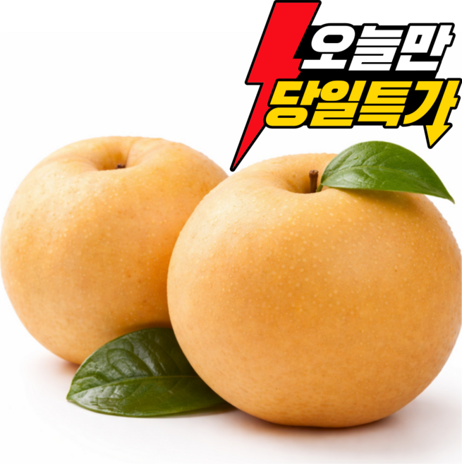 초특가 고당도 산지직송 나주 배, 1박스, 10kg