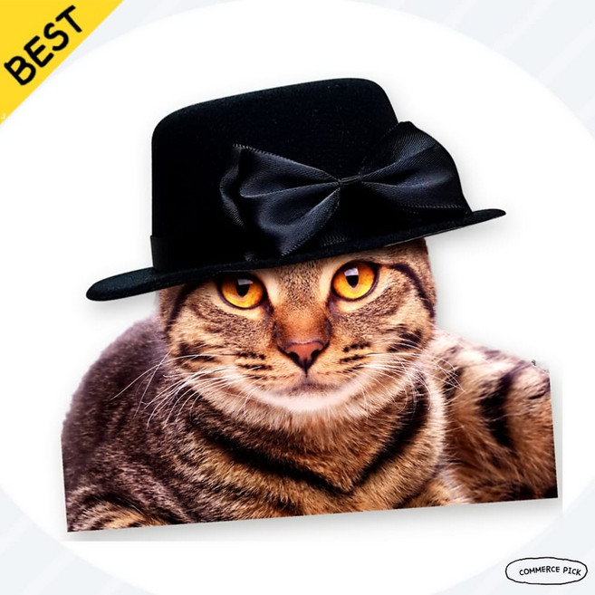 [펫페도라] 해피파티 펫 모자 강아지 고양이 촬영 소품 제이엘생활