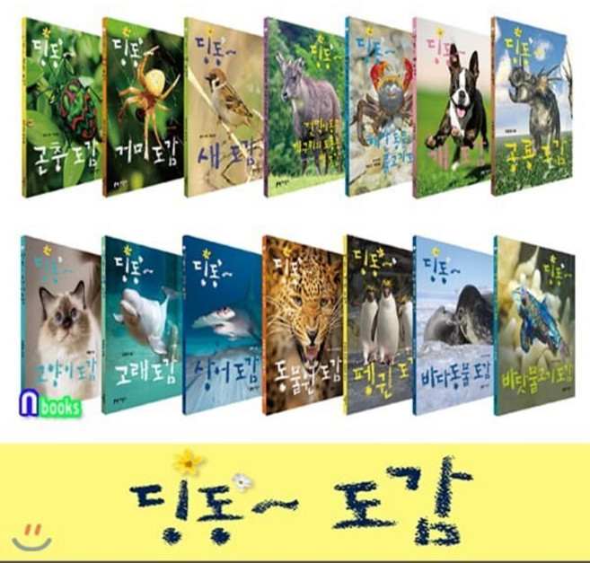 [전집] 딩동 도감 세트/전14권/바다동물.바다물고기.펭귄.동물원도감.상어.고래.고양이.공룡.개.새.거미.곤충.해안동물과물고기.젖먹이동물개구리와도룡뇽뱀도감, 지성사(전집)