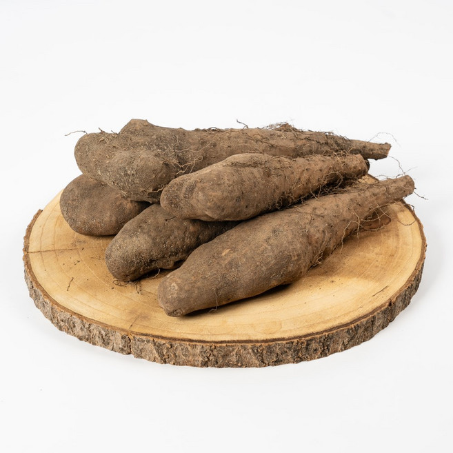 안동 참마 안동마 산마 생마, 1개, 산마 상품 2kg
